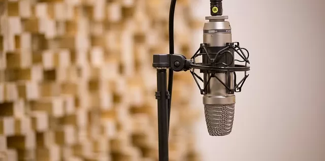 Tips To Create Powerful Video Testimonial 5 mic 3035236 640